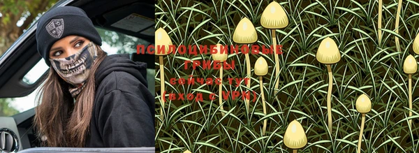 PSILOCYBIN Алексин