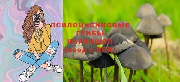 дмт Арсеньев
